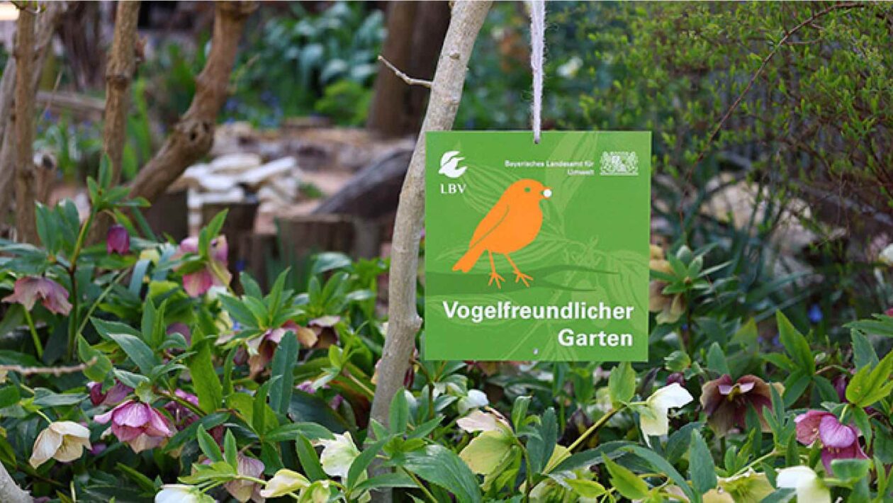 Vogelfreundlicher Garten Foto: Carola Bria, LBV